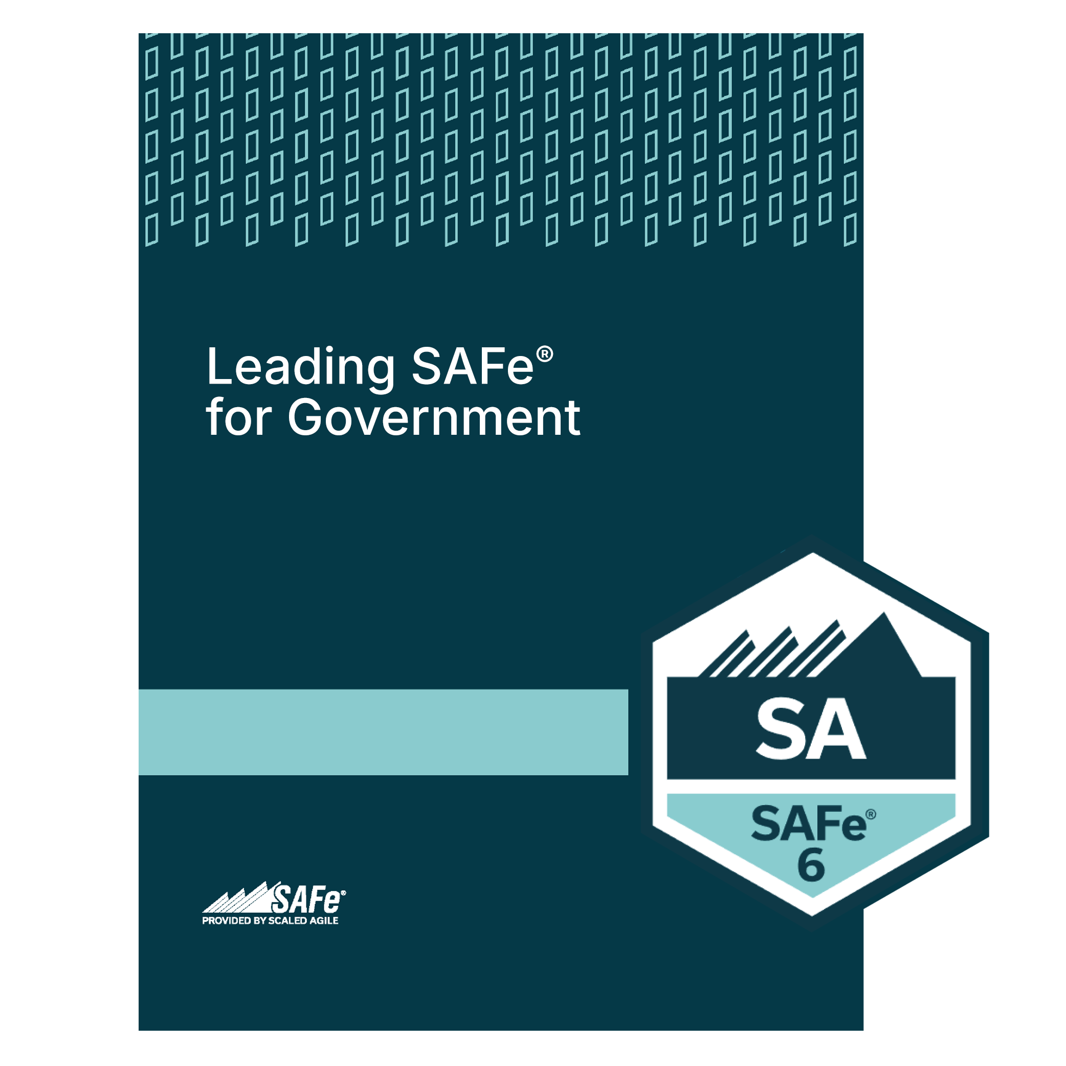 Leading SAFe® for Government