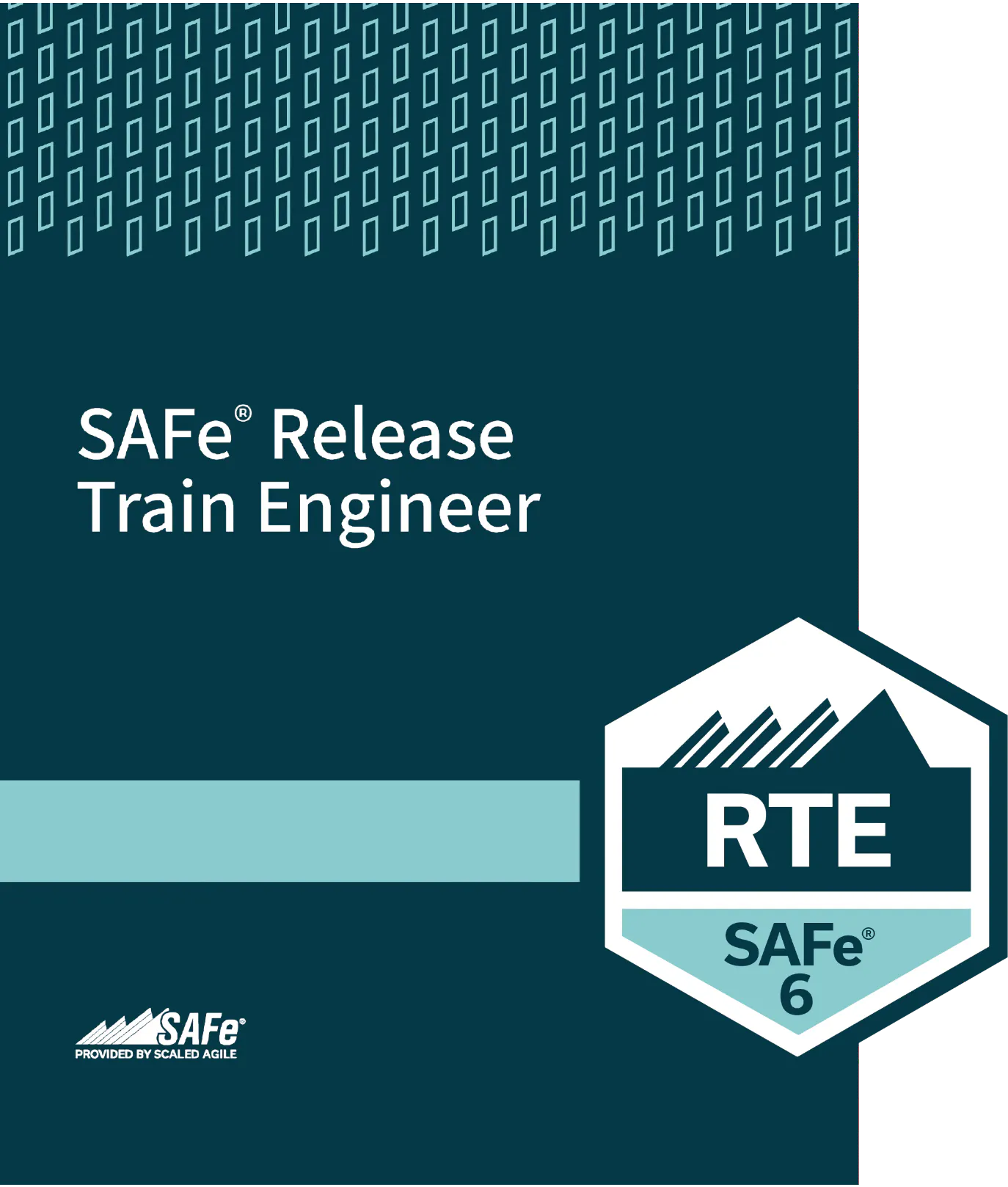 SAFe® Release Train Engineer